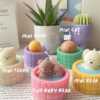 A collection of small animal candle, evoking a cozy hot spring bath atmosphere.