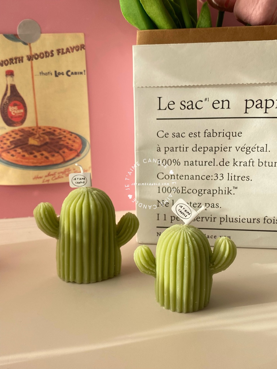 Mini Cactus Candle - Image 4