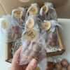 Mini Teddy Bear Candle, individually packed – a delightful gift for baby showers, gender reveals, and newborn celebrations. Perfect for adding charm and warmth to any baby-themed event!