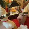 Introducing our adorable Cute Elk Shaped Candle, a perfect touch of charm for your holiday decor that’s bound to bring joy and smiles to your Christmas festivities. This whimsical Christmas Reindeer Candle is more than just a decoration; it’s a delightful and unique gift that spreads holiday cheer. Crafted with care to resemble a lovable reindeer, its detailed design embodies the spirit of the season, making it a heartwarming addition to any festive setting.