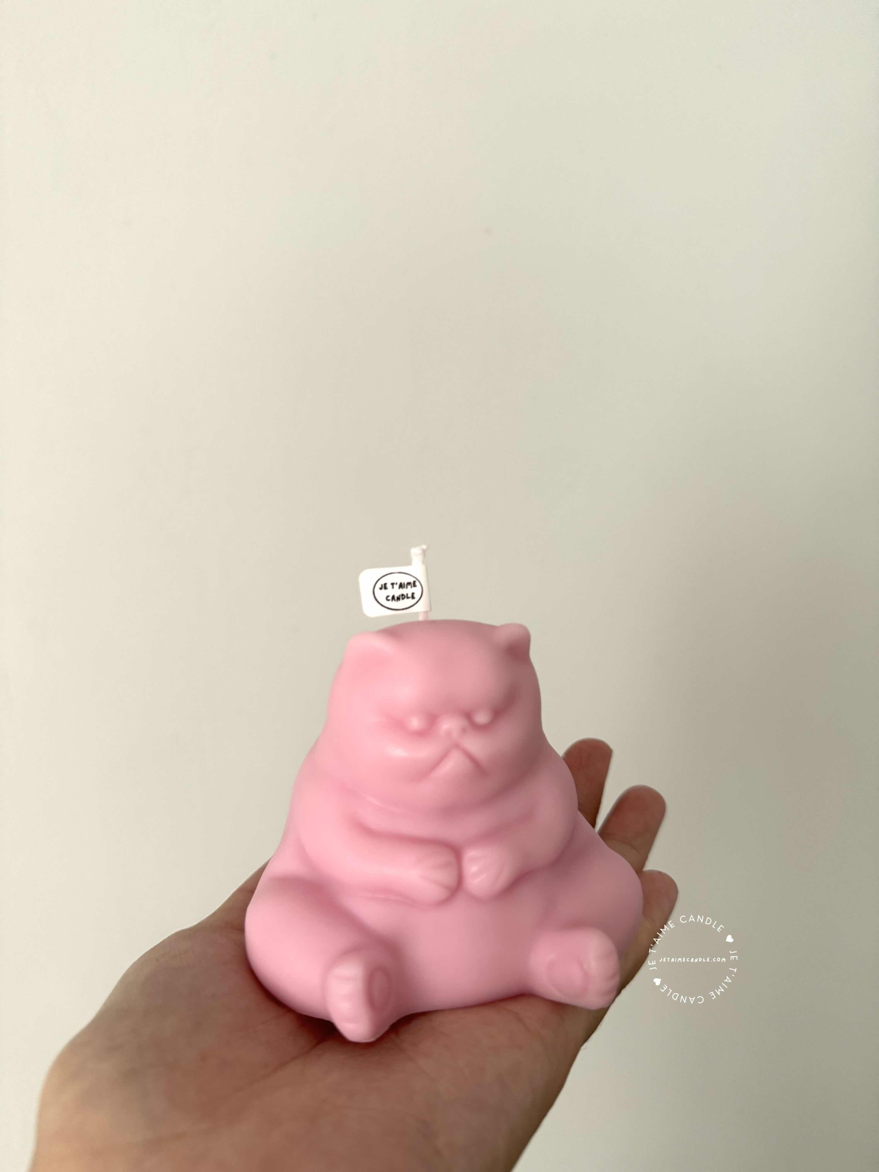 Grumpy Cat Candle - Image 12