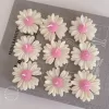 Set of handmade daisy-shaped candles with white petals and pink centers, displayed on a fabric surface – perfect for wedding favors, bridal shower gifts, or spring party decorations.
